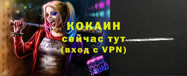 ALPHA-PVP Инсар