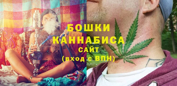 твердый Кодинск