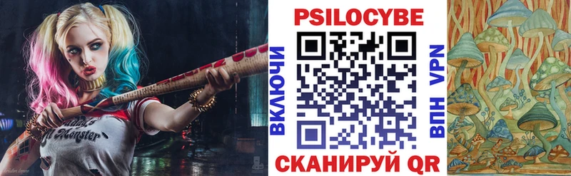 Галлюциногенные грибы Psilocybine cubensis  Купить  Бологое 